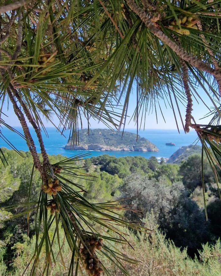 Arenal Lejlighed Jávea Eksteriør billede
